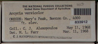Image Associated With the Occurence